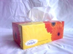 DELIGHT 2 PLY FACIAL TISSUE BOX