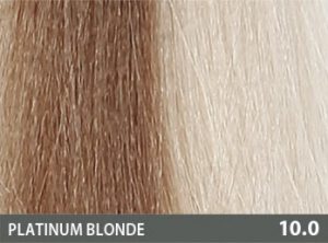 BACO COLOR GLAZE 10.0 60ML