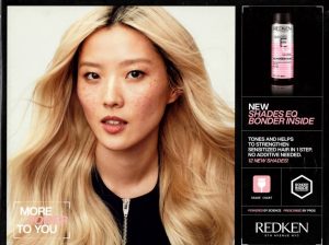 RK SHADES EQ LITHO CHART - PRINTED