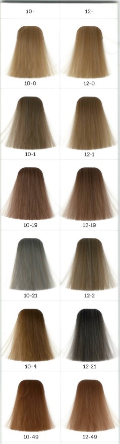 IGORA ROYAL COMPACT BOOK UPDATE